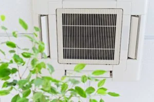 Indoor Air Quality In Sparta, Cookeville, Crossville, TN, And Surrounding Areas - Flatt’s Heating & AC